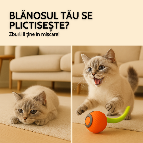 Zburli™ – Mingea interactivă pentru pisici și căței