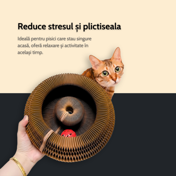 Zburli™ – Jucăria interactivă de zgâriat pentru pisici